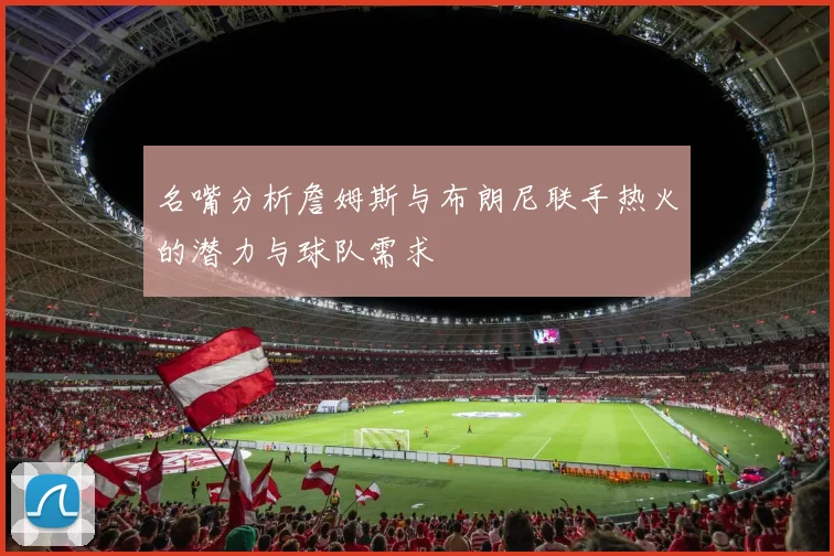 名嘴分析詹姆斯与布朗尼联手热火的潜力与球队需求