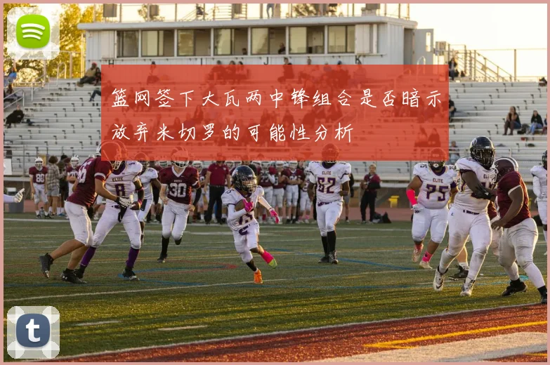 篮网签下大瓦两中锋组合是否暗示放弃米切罗的可能性分析